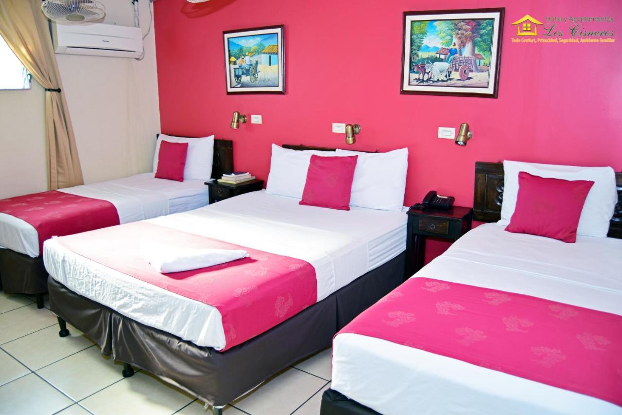 Hotel Y Apartments Los Cisneros Managua Exterior photo